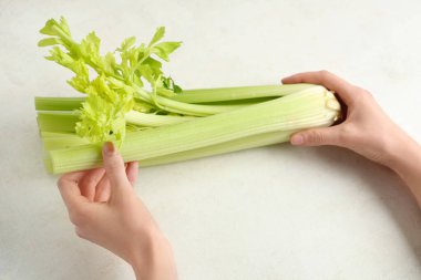 Beyaz arka planda taze yeşil kereviz demeti olan kadın elleri.