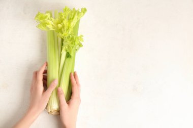 Beyaz arka planda taze yeşil kereviz demeti olan kadın elleri.