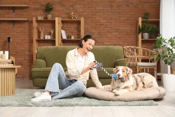 Güzel genç bir bayan evde şirin bir Avustralya çoban köpeğiyle oynuyor.