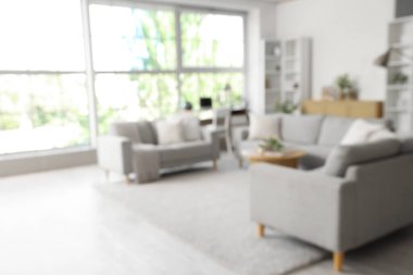 Gri kanepeler, kahve masası ve bitkilerle aydınlık oturma odasının bulanık görüntüsü