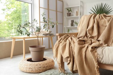 Ekose ve dekoratif zeytin ağacıyla rahat bir kanepe.