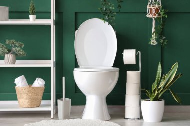 Tuvalet, ev bitkileri ve raflar tuvalette.