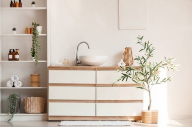 Lavabosu, rafı ve dekoratif ağacı olan çekmeceler.