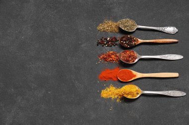 Koyu arka planda farklı aromatik baharatlara sahip kaşıklar.