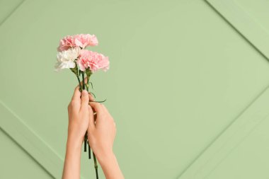 Yeşil arka planda güzel karanfilleri olan kadın elleri.