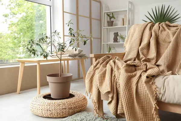 Ekose ve dekoratif zeytin ağacıyla rahat bir kanepe.