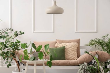 Kanepe ve yeşil bitkilerle aydınlık oturma odasının içi