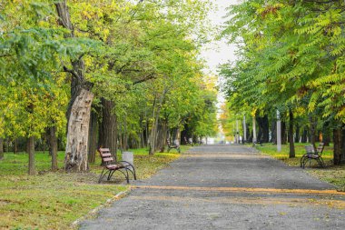 Ağaçları ve bankları olan güzel bir sonbahar parkı