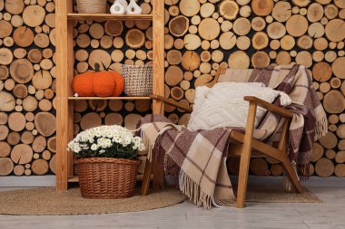 Rahat koltuklu, kasımpatı çiçekli ve balkabaklı şık bir oturma odası.