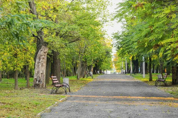 Ağaçları ve bankları olan güzel bir sonbahar parkı