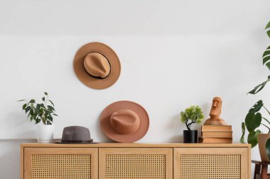 Odadaki ışık duvarının yanında klozet üzerinde bitkiler ve kitaplar olan şık şapkalar.