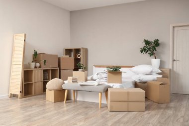 Büyük yataklı karton kutular, taşınma gününde yatak odasında ev bitkileri ve raf üniteleri.