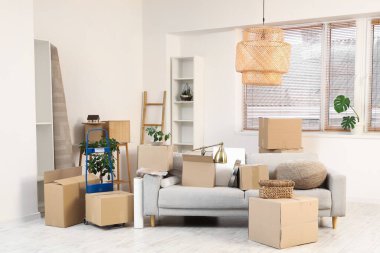 Gri kanepeli karton kutular ve taşınma gününde oturma odasında raf ünitesi.