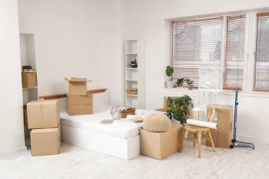 Büyük yataklı karton kutular, taşınma gününde yatak odasında ev bitkileri ve raf üniteleri.