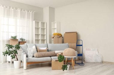Gri kanepeli karton kutular, taşınma günü oturma odasında raflar ve bitkiler.