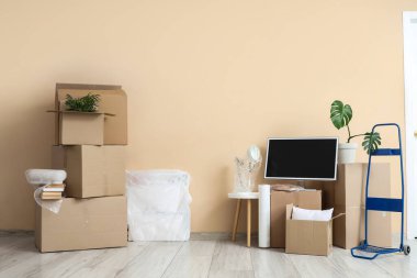 Taşındığı gün oturma odasındaki bej duvarın yanında ev bitkileri ve modern bilgisayar monitörlü karton kutular.