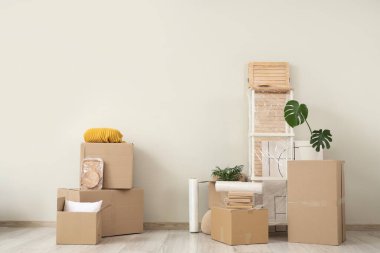 Karton kutular sarılı raf ünitesi ve taşınma gününde oturma odasındaki beyaz duvarın yanında bitkiler.