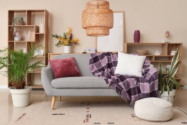 Gri kanepede raflar, ev bitkileri ve mor ekoseli modern oturma odasının içi.