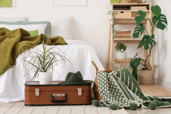 Bavulunda raf ve ev bitkisi olan modern şık bir yatak odası.