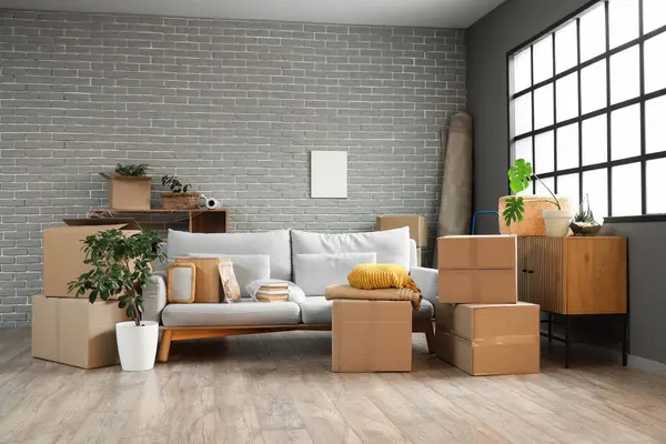 Gri kanepeli karton kutular ve taşınma gününde oturma odasındaki pencerenin yanında bitkiler.