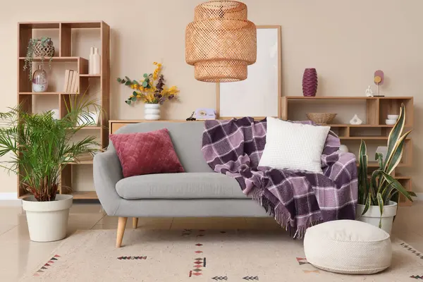 Gri kanepede raflar, ev bitkileri ve mor ekoseli modern oturma odasının içi.