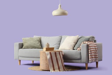 Yastıklı rahat gri kanepe, hasır sepet ve mor arka planda battaniyeler.