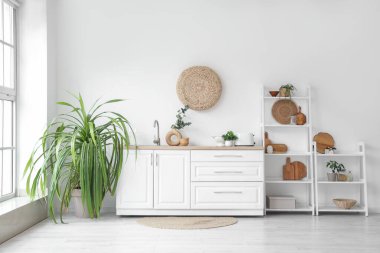 Beyaz tezgahlı, ev bitkisi ve raf üniteli şık bir mutfak.