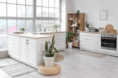 Beyaz tezgahları, ev bitkileri ve raf ünitesi olan şık bir mutfak.