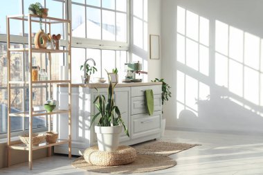 Beyaz tezgahlı, ev bitkilerli ve büyük pencereli şık bir mutfak.