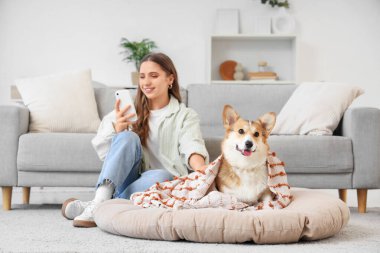 Cep telefonu kullanan genç bir kadın ve evdeki evcil hayvan yatağında ekoseli Corgi köpeği.