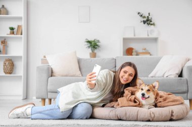 Genç kadın ve ekoseli Corgi köpeği evde selfie çekiyorlar.