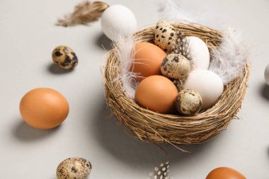 Yuvalı kompozisyon, gri arka planda Paskalya yumurtası ve tüyleri, yakın plan