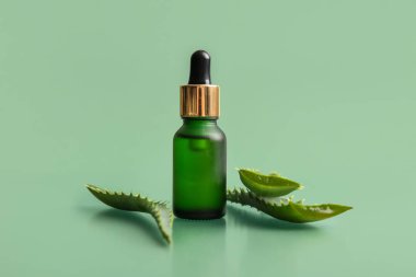 Yeşil arka planda aloe vera yapraklı bir şişe kozmetik yağı.