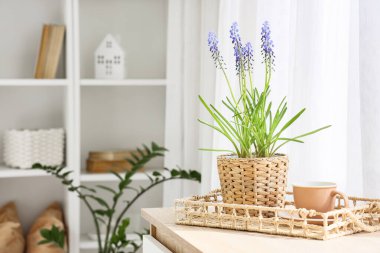 Muscari çiçekli tepsi ve odanın penceresinin yanındaki rafta bir fincan çay.
