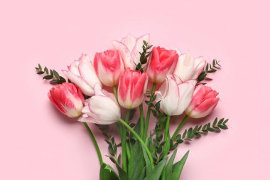Pembe arka planda okaliptüs dalları olan güzel lale çiçekleri. Anneler Günü kutlaması