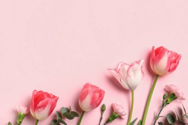 Karanfil çiçekli güzel laleler ve pembe arka planda okaliptüs dalları. Anneler Günü kutlaması