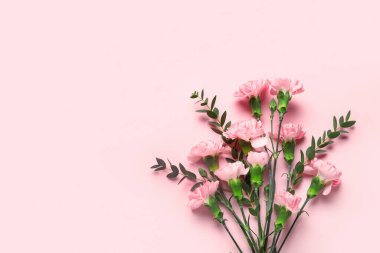 Pembe arka planda okaliptüs dalları olan güzel karanfil çiçekleri. Anneler Günü kutlaması