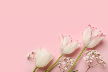 Pembe arka planda güzel laleler ve çingene çiçekleri. Anneler Günü kutlaması