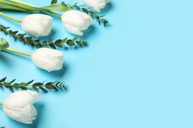 Mavi arka planda okaliptüs dalları olan güzel beyaz lale çiçekleri. Anneler Günü kutlaması