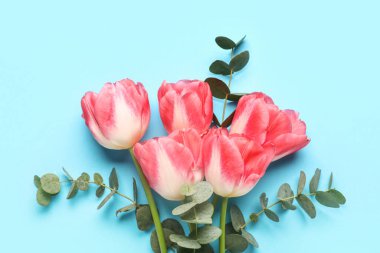 Mavi arka planda okaliptüs dalları olan güzel lale çiçekleri. Anneler Günü kutlaması