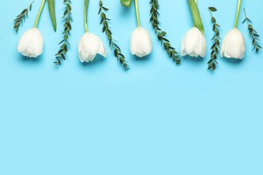 Mavi arka planda okaliptüs dalları olan güzel beyaz lale çiçekleri. Anneler Günü kutlaması