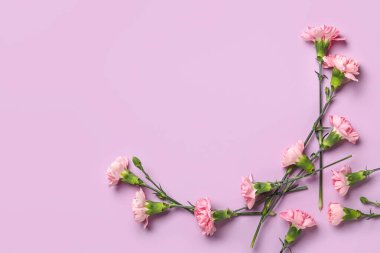 Leylak arka planda güzel karanfil çiçekleri. Anneler Günü kutlaması