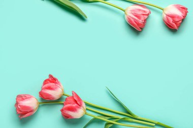 Turkuaz arka planda güzel lale çiçekleri. Anneler Günü kutlaması