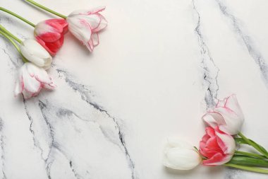 Beyaz arka planda güzel lale çiçekleri. Anneler Günü kutlaması