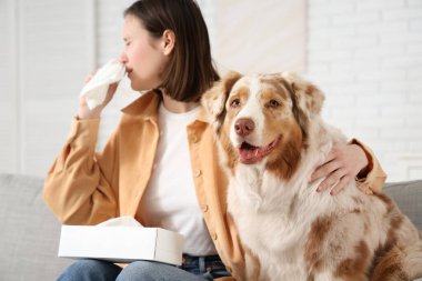 Evde kürke alerjisi olan köpek ve genç bir kadın.