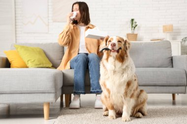 Fırçalı köpek ve evde hapşıran genç kadın. Kürk alerjisi.