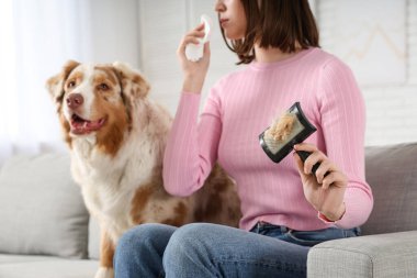 Köpek ve evde fırçayla hapşıran genç bir kadın. Kürk alerjisi.