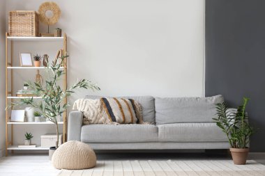 Yastıklı rahat bir kanepe, raf ünitesi, puf ve dekoratif zeytin ağacı.