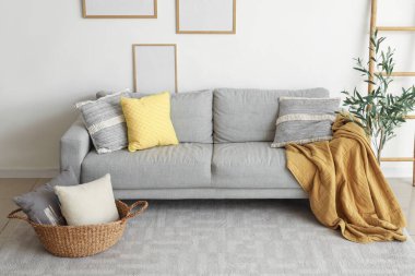 Güzel oturma odasının içinde rahat bir kanepe, ekose, yastıklar ve zeytin ağacı var.