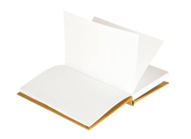 Beyaz arkaplan üzerine boş sayfaları olan uçan kitap